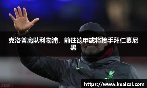B体育官网