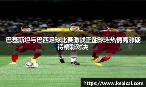 B体育bsports