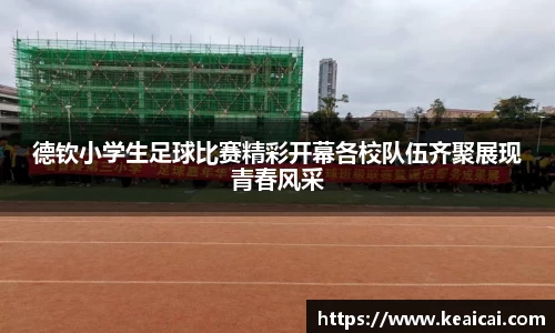 B体育bsports