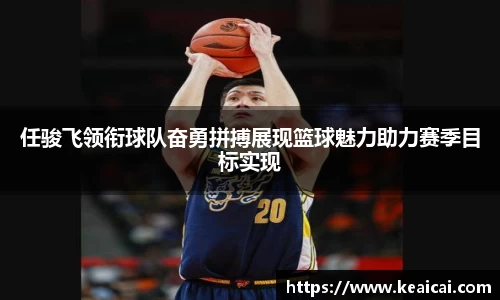 B体育bsports