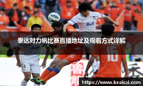 bsports官网入口