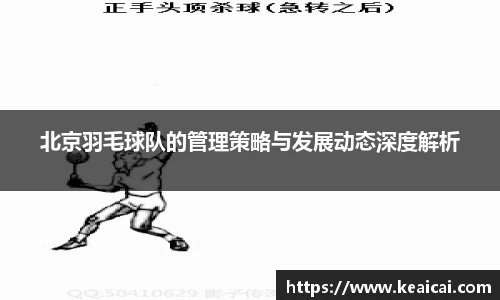 bsports官网入口
