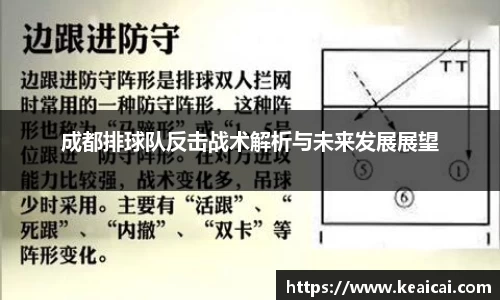 成都排球队反击战术解析与未来发展展望
