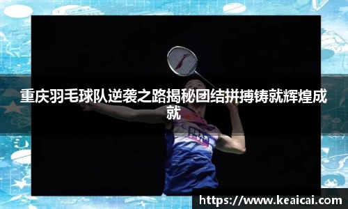 bsports官网入口