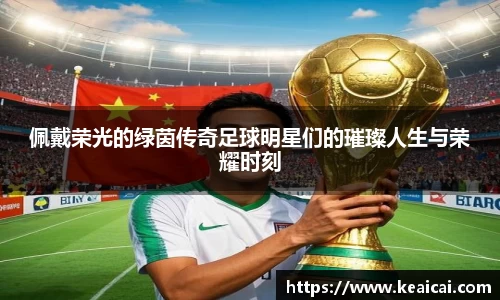bsports官网入口