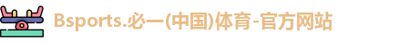 B体育官网